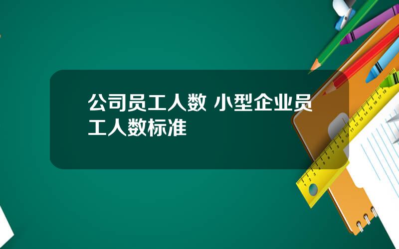 公司员工人数 小型企业员工人数标准